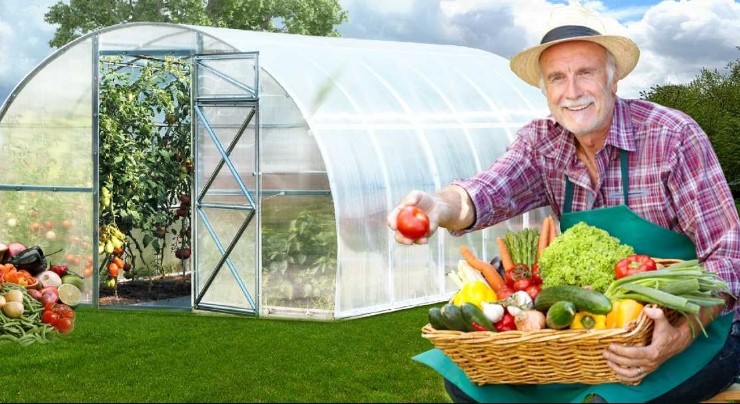 Как можно с пользой работать и с удовольствием отдыхать на даче