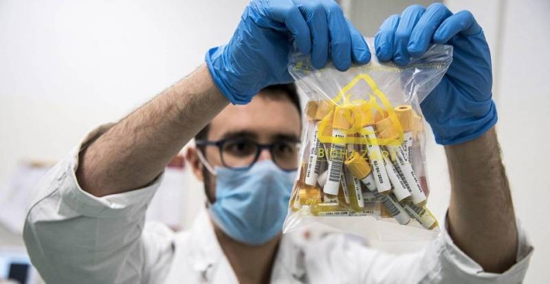 Полынь против коронавируса: какие исследования проводят ученые