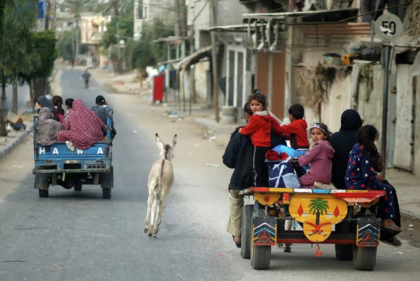 Палестина и Израиль: что происходит между ними и можно ли избежать войны