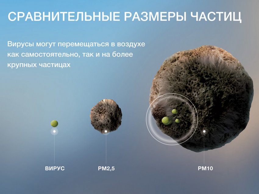 Открытия вирусологов могут изменить биологию