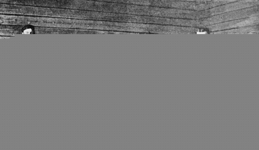 Российская империя была крупнейшим экспортёром сельхозпродукции