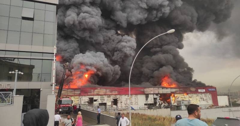 Более 800 человек пострадало и 8 человек погибло: ситуация с пожарами в Турции