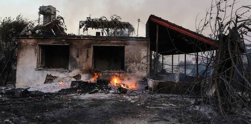 Более 800 человек пострадало и 8 человек погибло: ситуация с пожарами в Турции