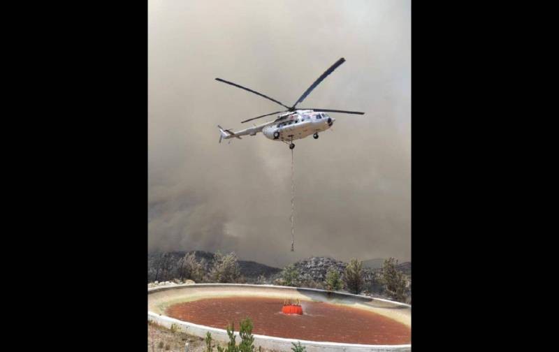 Более 800 человек пострадало и 8 человек погибло: ситуация с пожарами в Турции