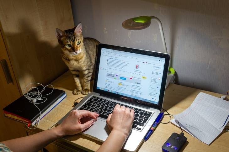 Ожидает ли российских школьников и студентов домашнее обучение в 2021 году