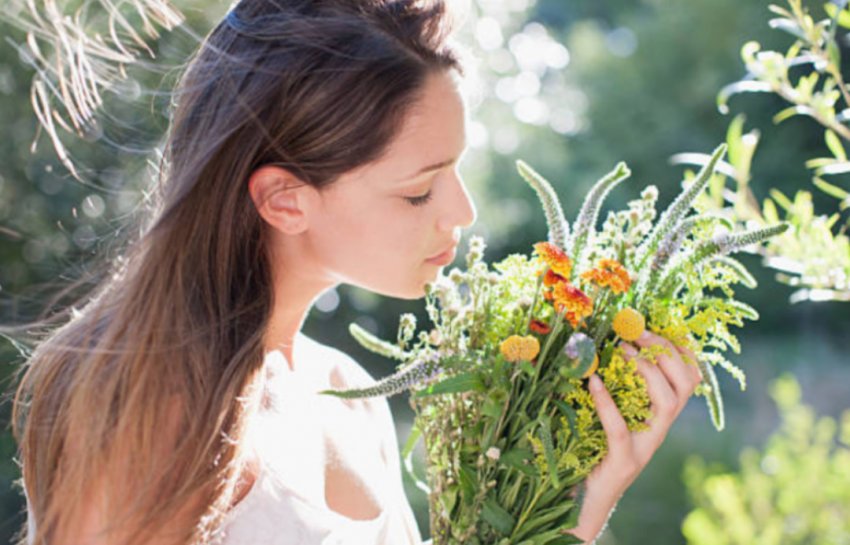 Теория эволюции: "Ужасная тайна" Дарвина