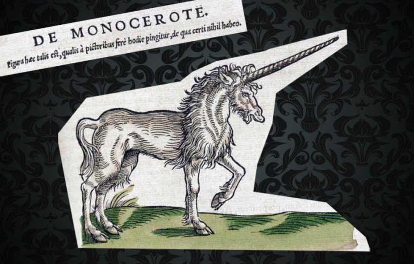 Что нам известно о единорогах