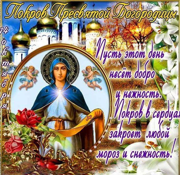 Поздравления в стихах и прозе с праздником Покрова Пресвятой Богородицы Поздравления в стихах и прозе с праздником Покрова Пресвятой Богородицы