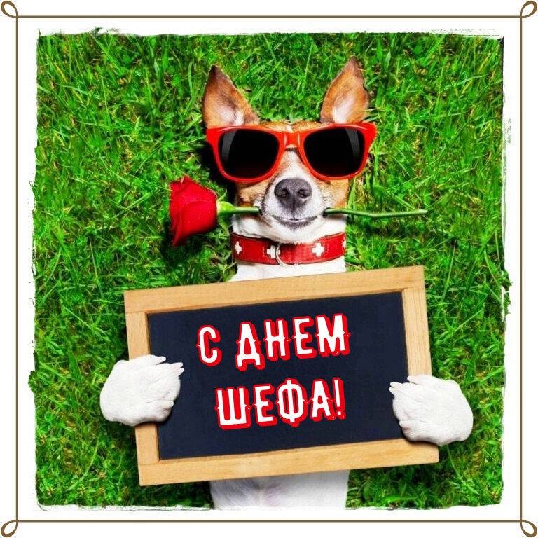 Прикольные поздравления и открытки в День шефа 16 октября 2021 года
