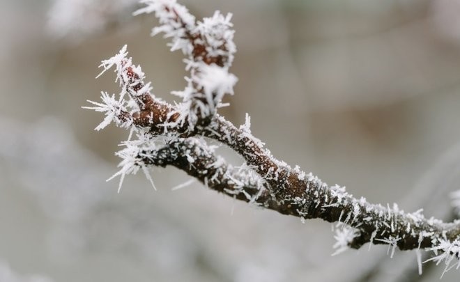 В Михайлов день 21 ноября 2021 года стоит обратить внимание на погодные приметы