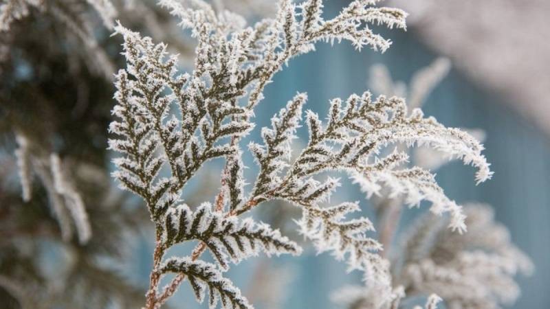 Праздник Филипповка или Заговенье ежегодно отмечается 27 ноября