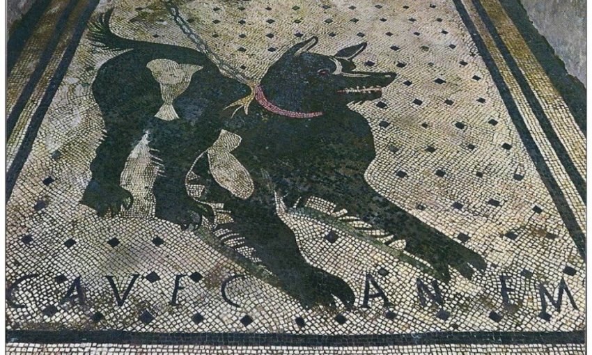 Удивительные мозаики из Помпей