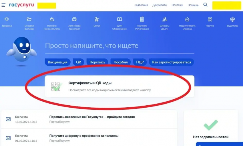 Россиянам объяснили, как получить сертификат переболевшего ковидом