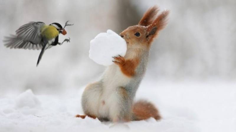 Тепло или холодно: синоптики дали прогноз погоды на зиму 2021-2022 для России