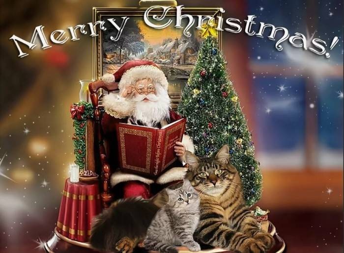 В Рождество 25 декабря 2021 года для католиков звучат искренние поздравления в стихах и прозе