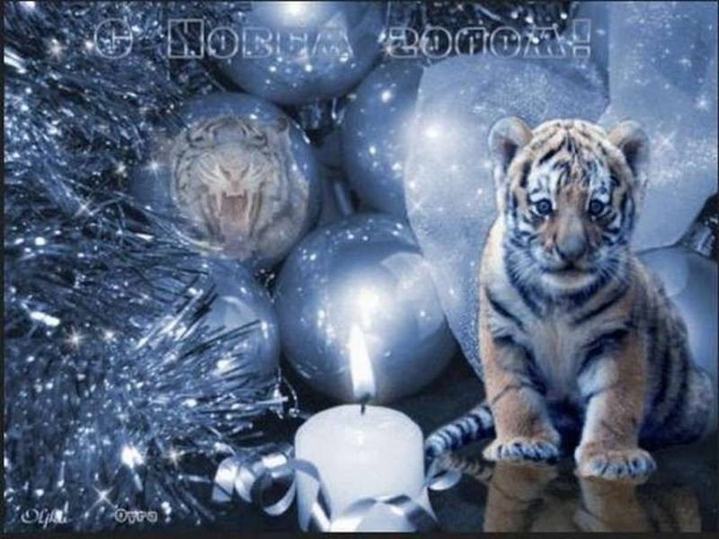 Красивые картинки на Новый год Тигра 2022 для коллег, друзей и родственников