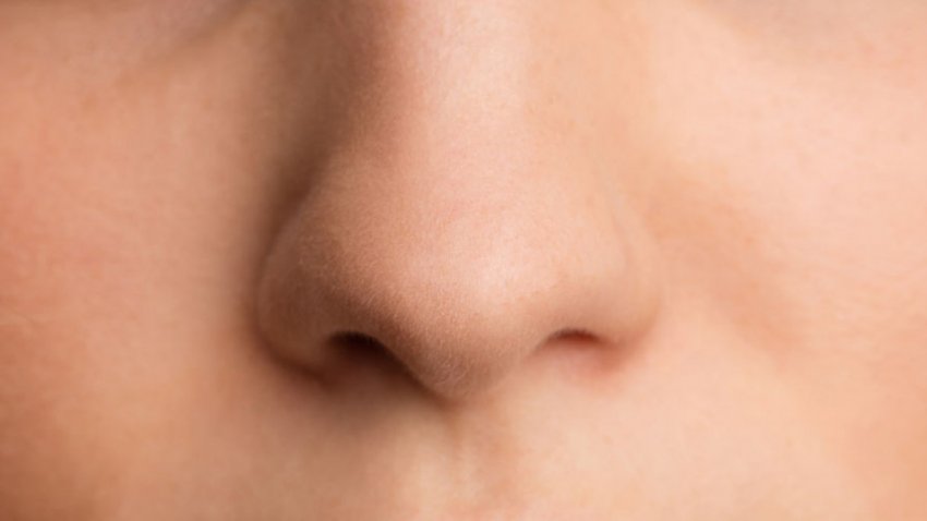 ТОП фактов о нашем восприятии запахов