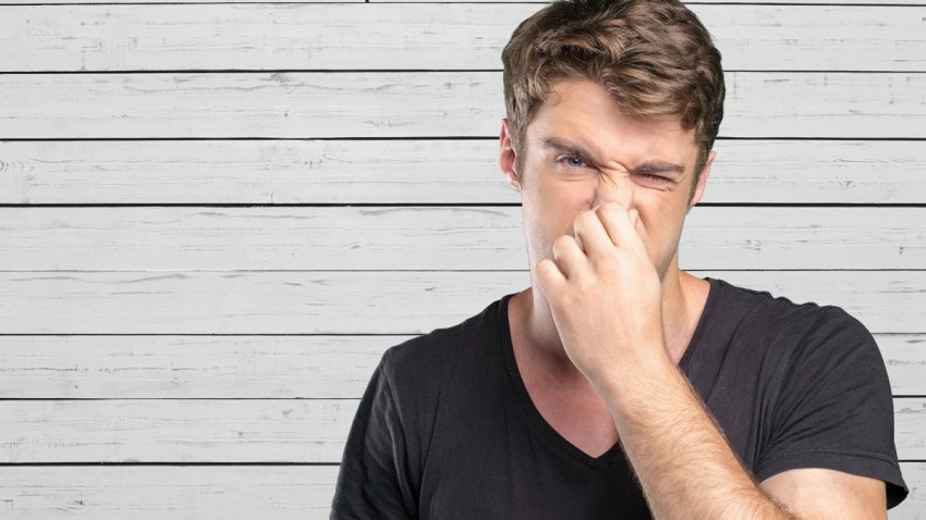 ТОП фактов о нашем восприятии запахов