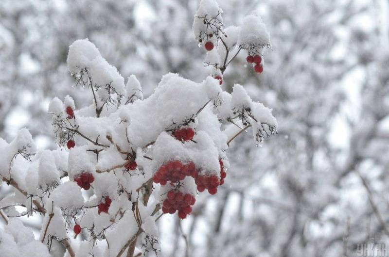 Григорий Летоуказчик, 23 января: что можно и нельзя делать дабы привлечь удачу на год