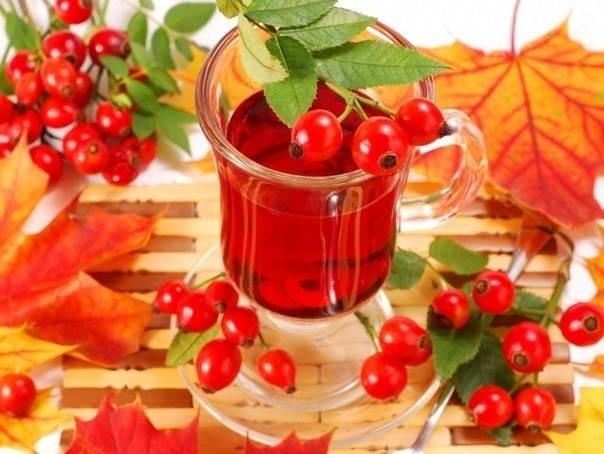 Как правильно заварить шиповник чтобы сохранить витамины