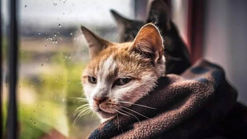 Синоптики рассказали, какой будет весна 2022 года в Москве