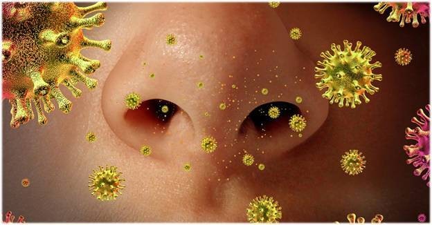 Тоже смертен: ученые узнали на какие сутки коронавирус погибает в организме человека