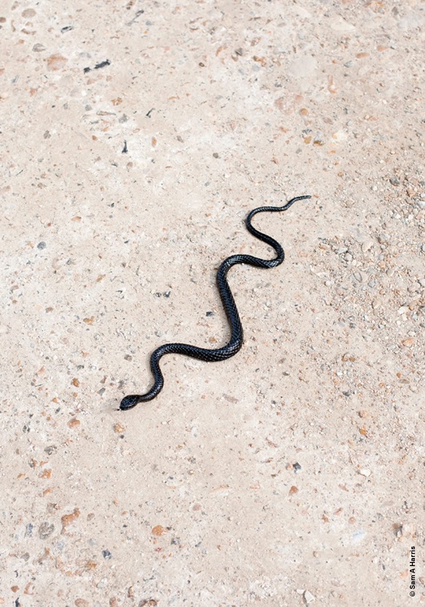 О чём люди говорят перед смертью?