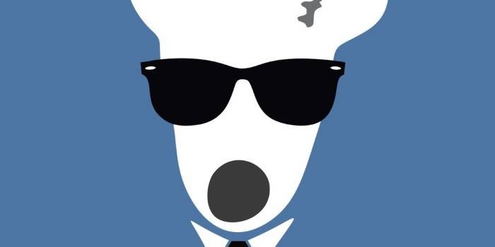 «ВКонтакте» 4 февраля произошел массовый сбой