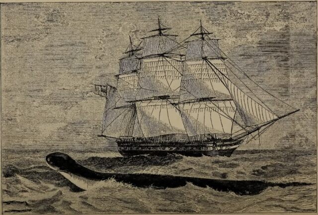 Калейдоскоп страхов средневекового моряка