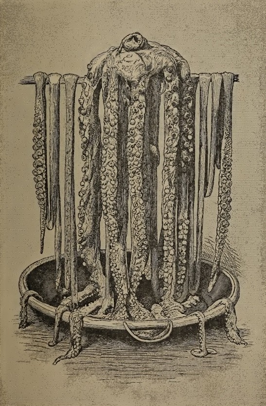 Калейдоскоп страхов средневекового моряка