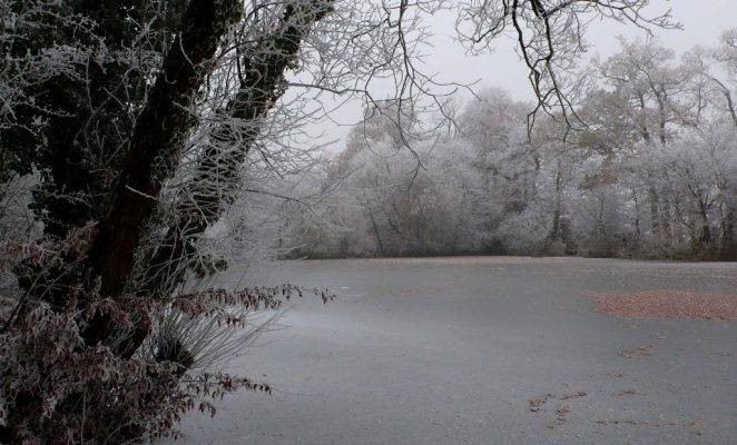 Поверья и приметы 23 февраля 2022 года связаны с Прохором Весновеем