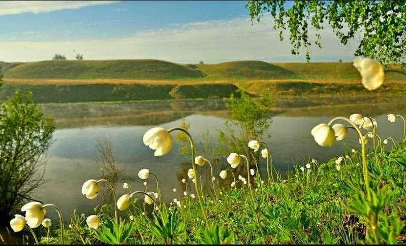 День Иова Многострадального или Иова Горошника — народно-церковный праздник, который отмечают 19 мая 2022 года