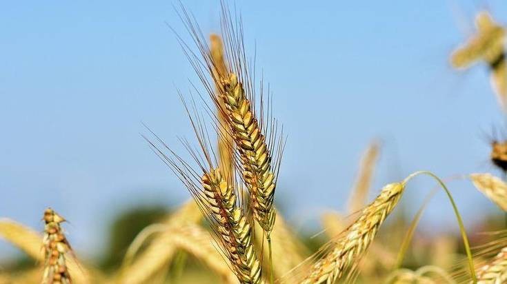 Приметы на каждый день июля 2022 года